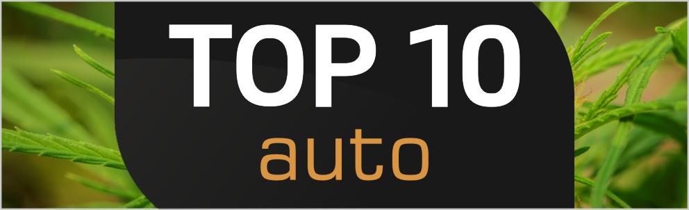 Top 10 Auto